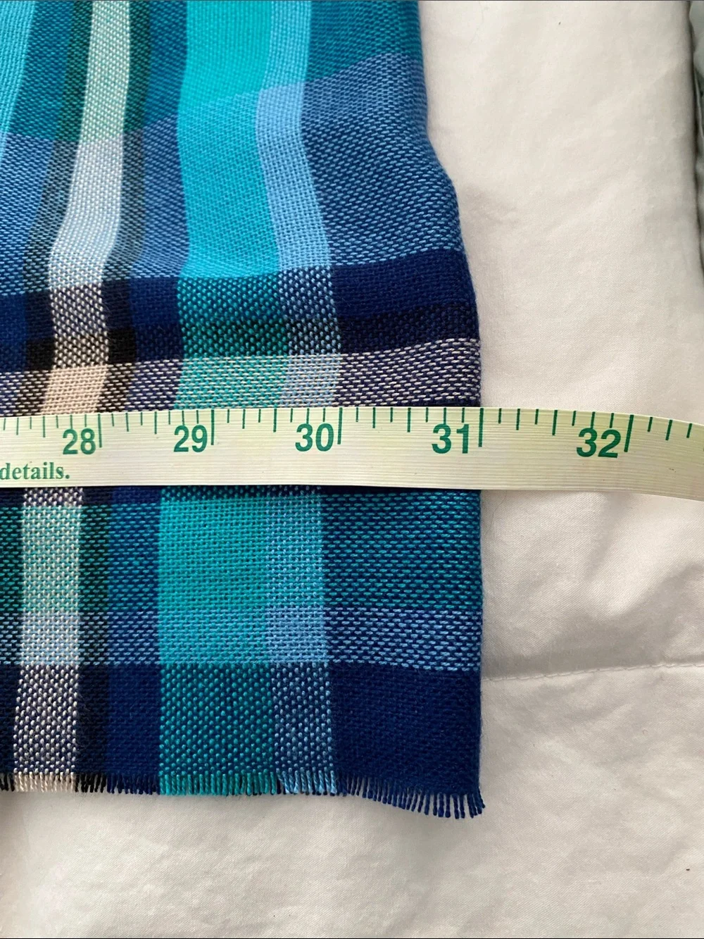 V. FRAAS Cashmink Blue Plaid Infinity Scarf